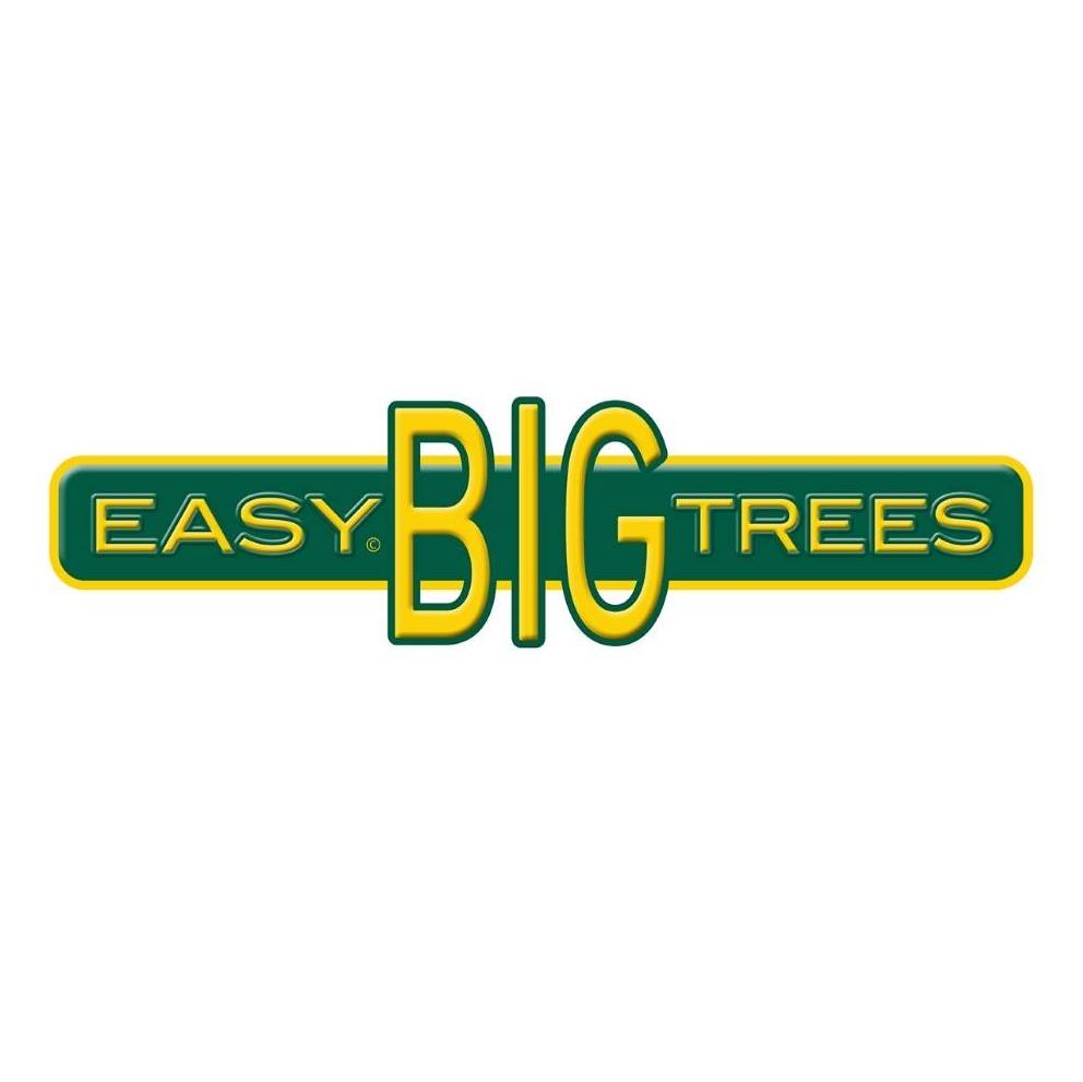 Prunus Yedoensis Cherry Blossom Tree | Yoshino Cherry | Easy Big Trees